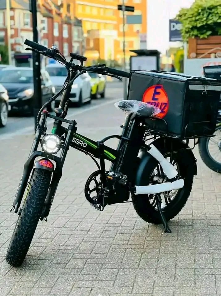 ALLEGRO FAT TYRE DELIVERY E-BIKE